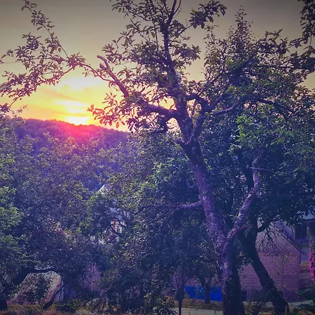 Gemuetliches Tinyhouse Im Naturpark Апартаменты