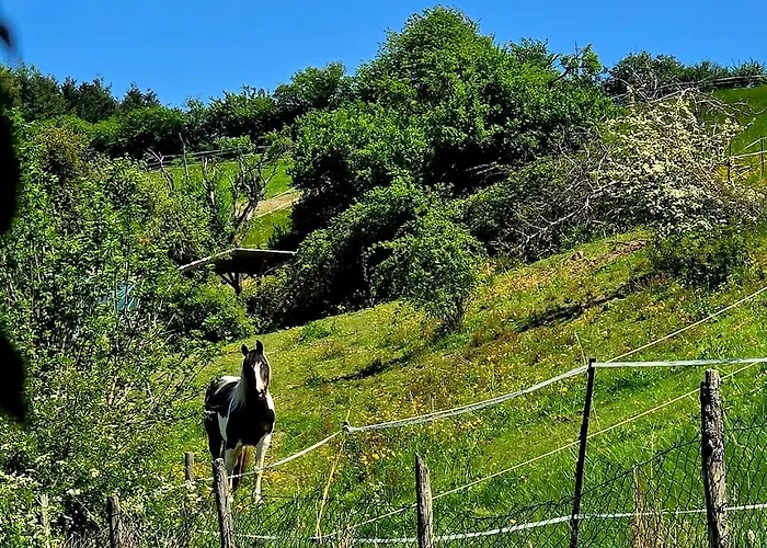 Gemuetliches Tinyhouse Im Naturpark Διαμέρισμα