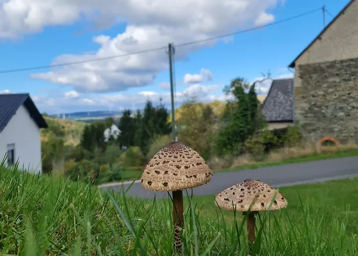 Gemuetliches Tinyhouse Im Naturpark Rorodt